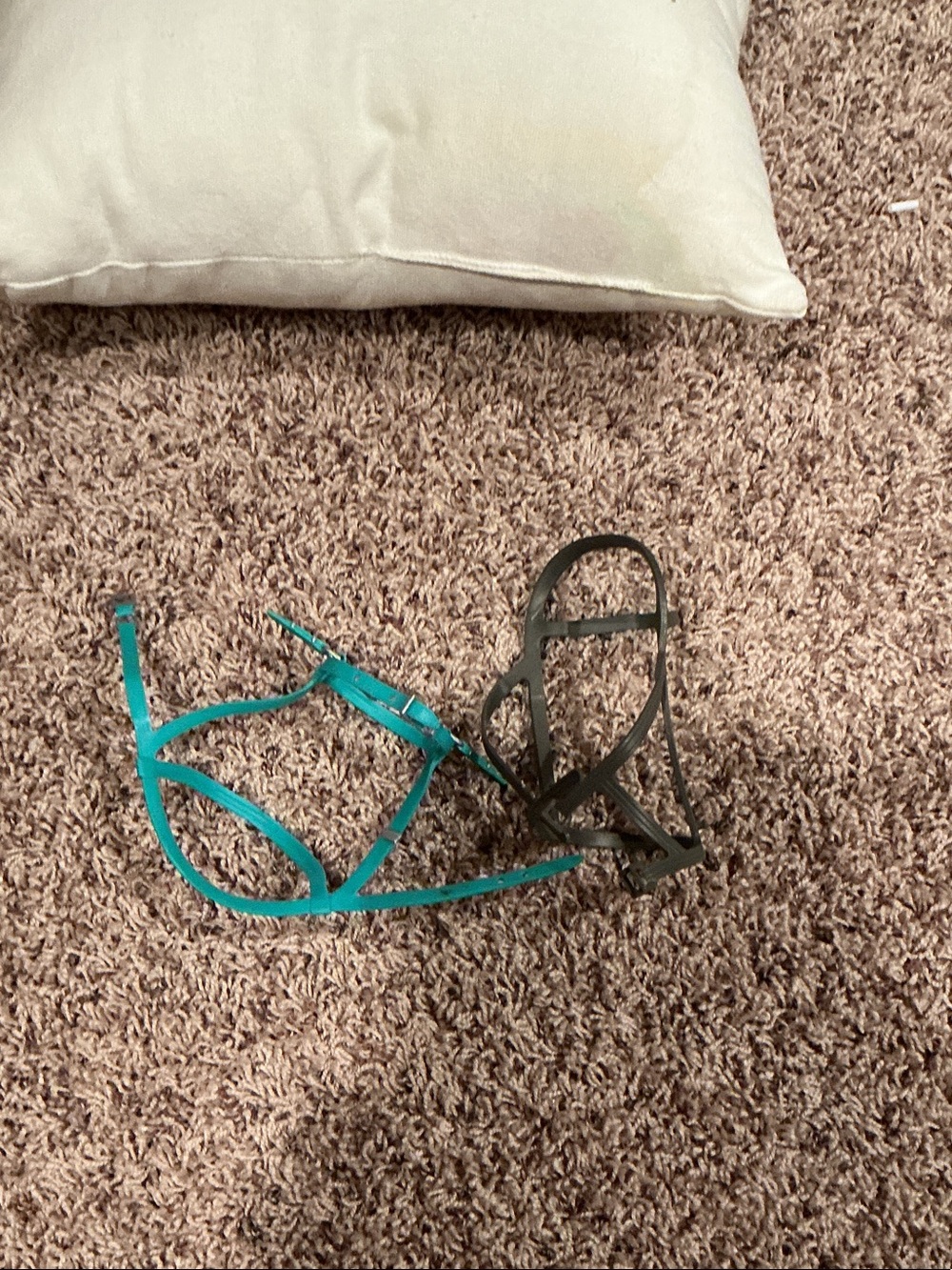 Two halters in the brand is our generation